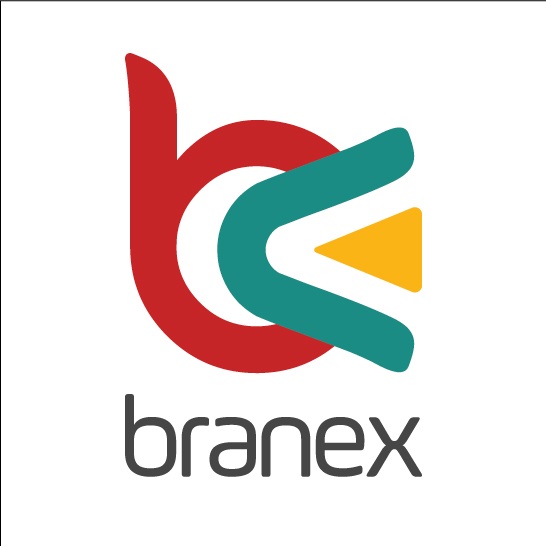 Branex - web design company in Qatar
